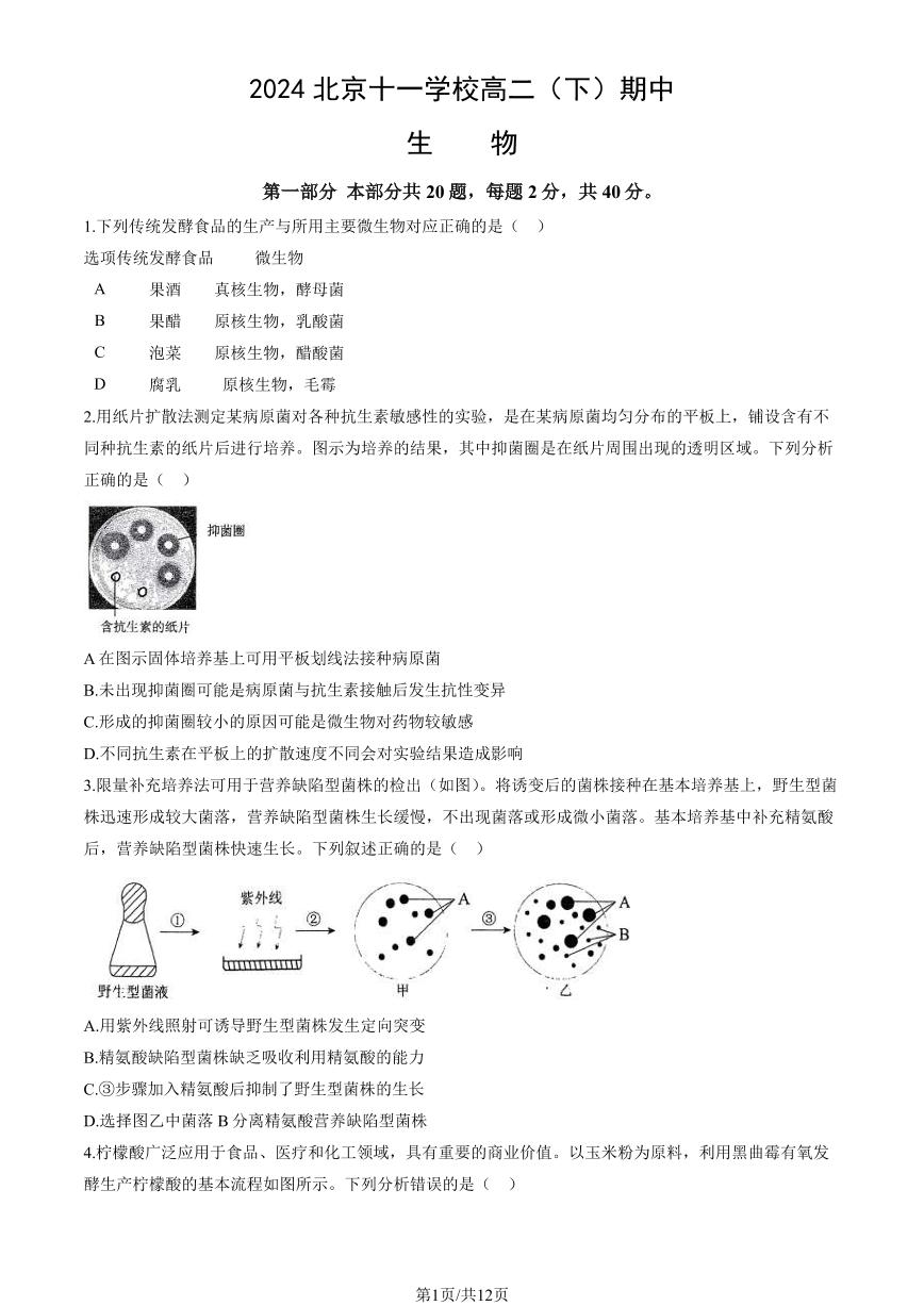 2024北京十一学校高二（下）期中生物试题及答案