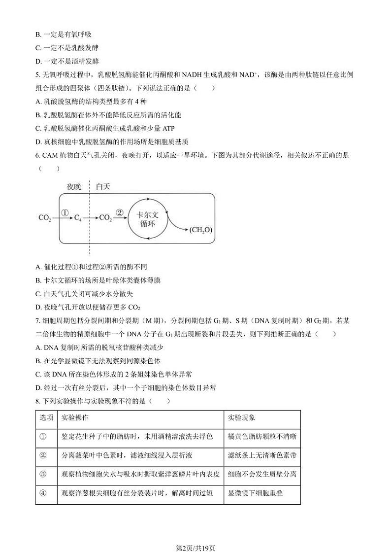 2024北京丰台高二(下)期末生物试题及答案第2页