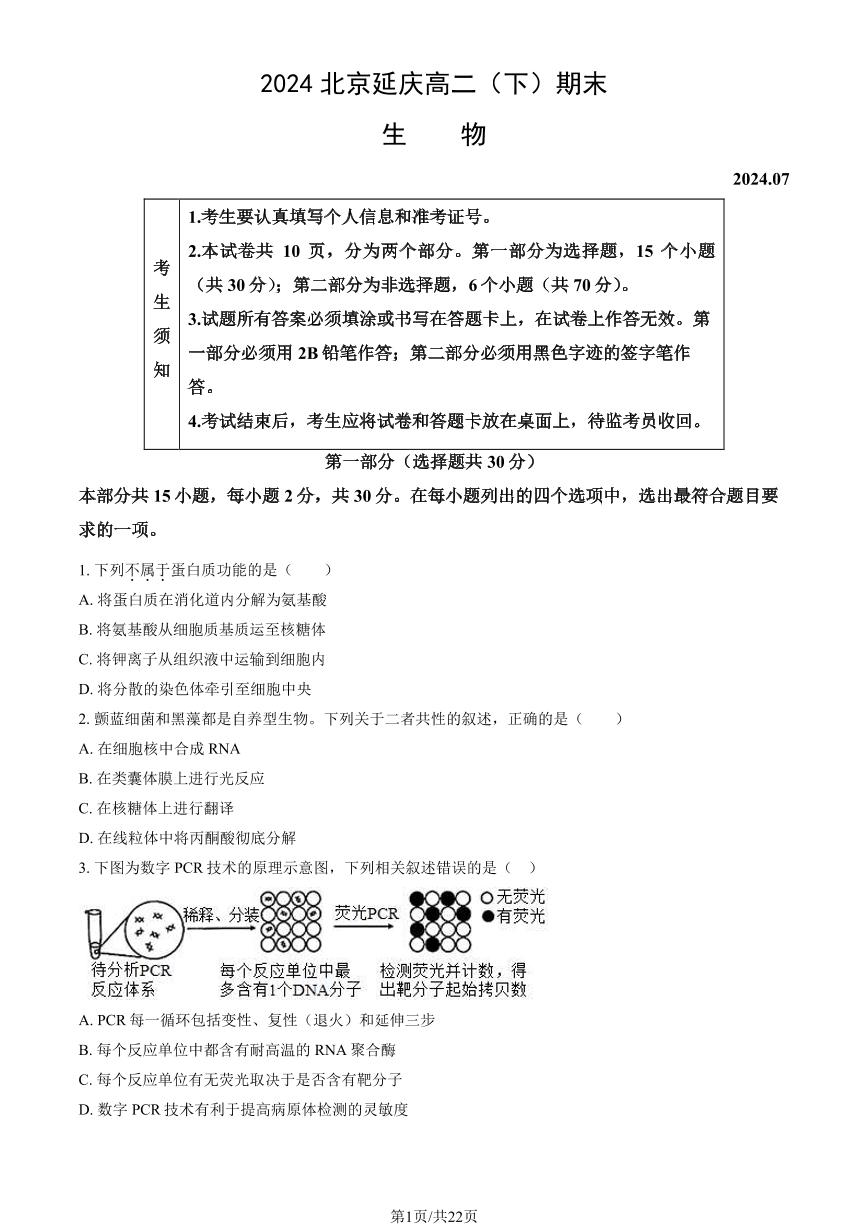 2024北京延庆高二（下）期末生物试题及答案