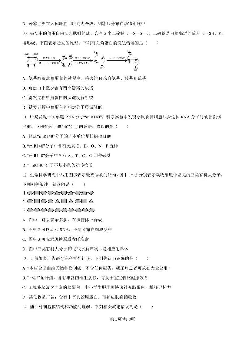 生物-湖南省长沙市长郡中学2024-2025学年高一上学期11月期中考试试题和答案第3页
