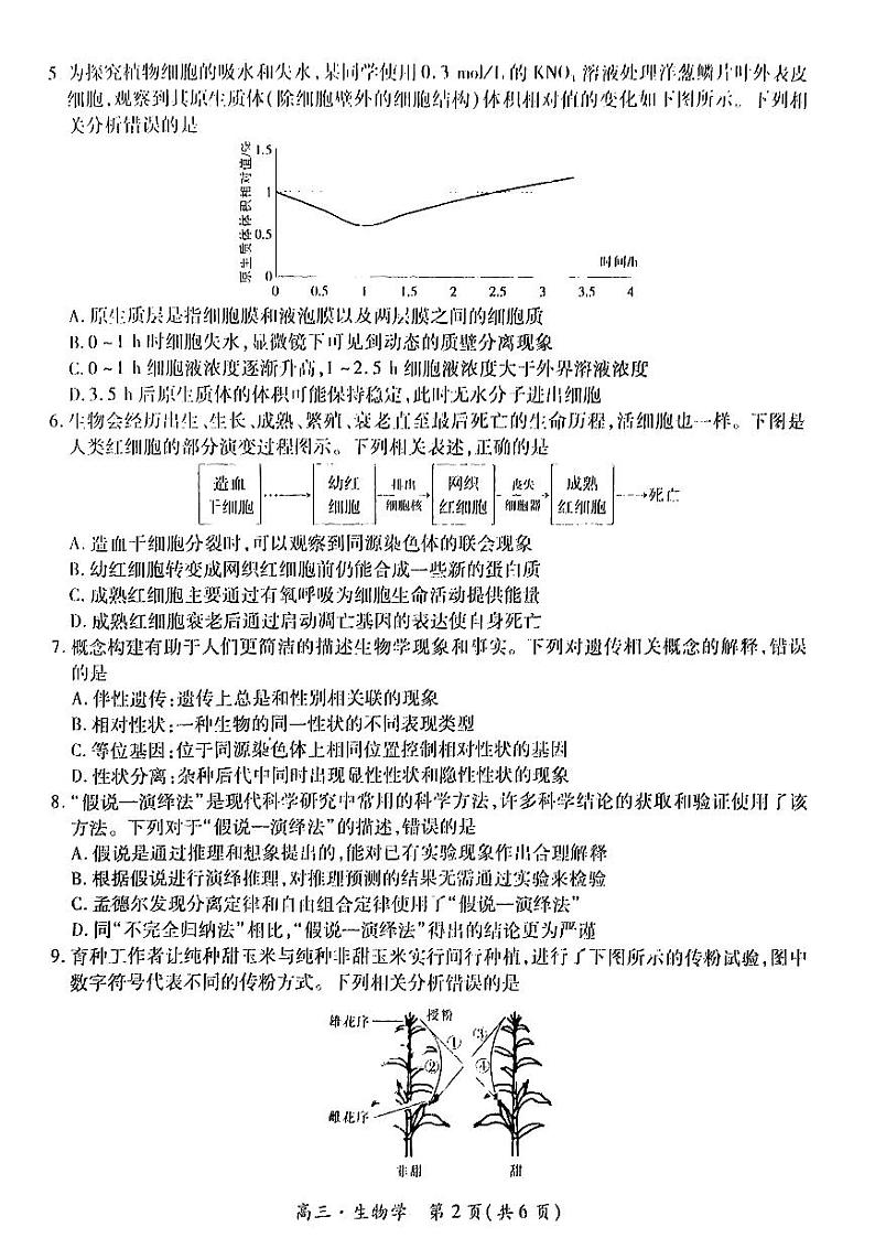 生物-江西省稳派上进联考2024-2025学年2025届高三上学期11月调研测试试题和答案第2页