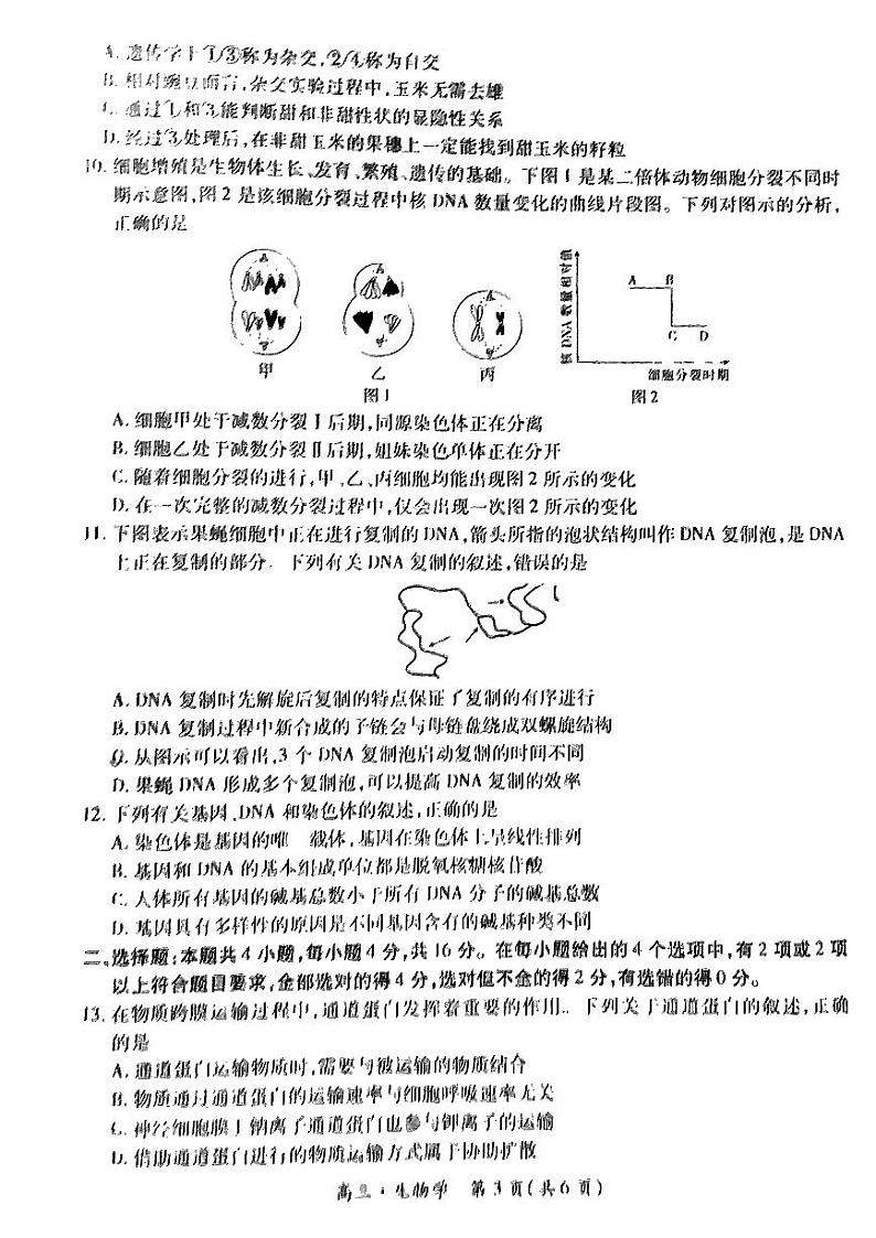 生物-江西省稳派上进联考2024-2025学年2025届高三上学期11月调研测试试题和答案第3页