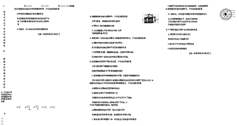 吉黑十校联考2024~2025学年度第一学期期中考试 生物(含答案)第2页
