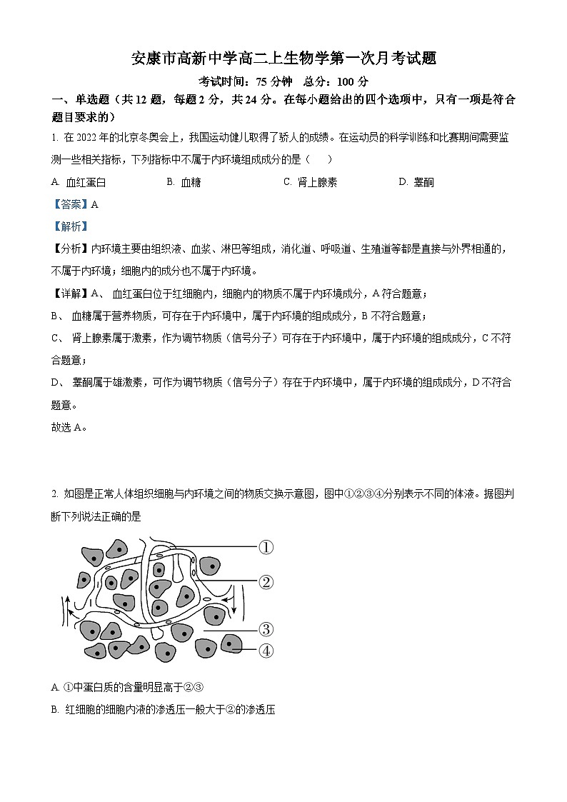 陕西省安康市2024-2025学年高二上学期10月月考生物试题 Word版含解析第1页
