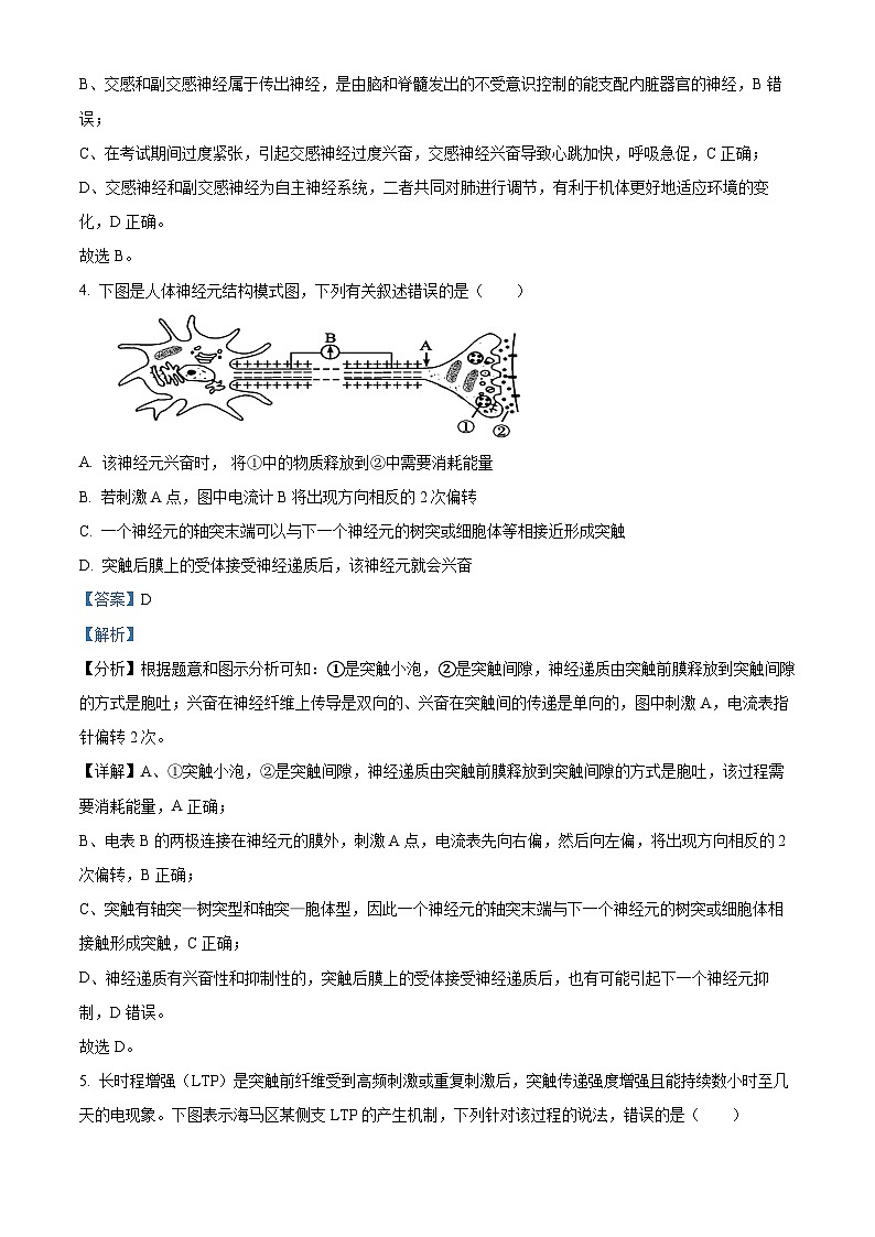 陕西省安康市2024-2025学年高二上学期10月月考生物试题 Word版含解析第3页