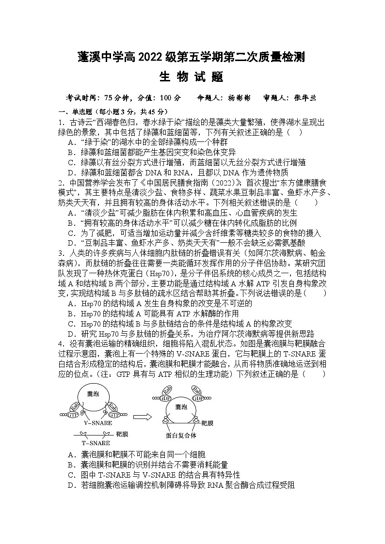 四川省遂宁市蓬溪县四川省蓬溪中学校2024-2025学年高三上学期11月期中考试生物试题第1页