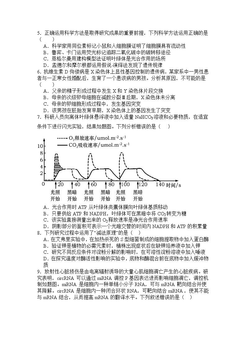 四川省遂宁市蓬溪县四川省蓬溪中学校2024-2025学年高三上学期11月期中考试生物试题第2页