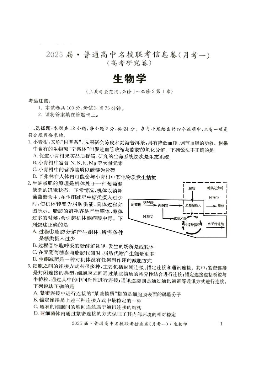 湖南省娄底市普通高中名校联考2024-2025学年高三上学期11月月考生物试题（PDF版附解析）