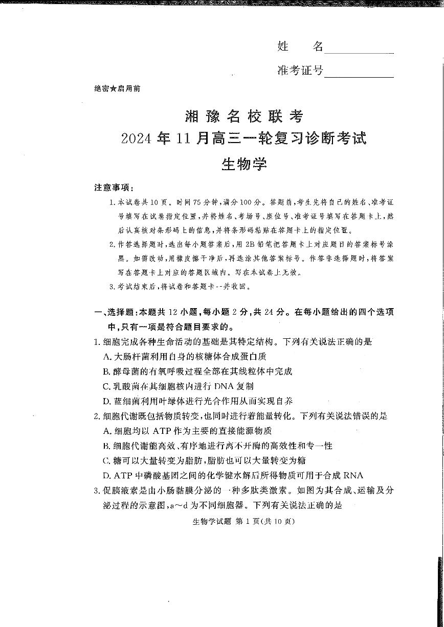 2024-2025学年高三上学期11月一轮诊断考试生物试卷及答案