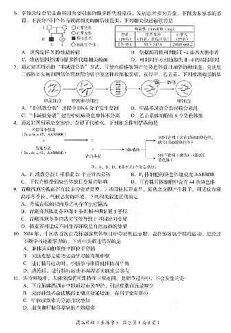2024年北京海淀区高三期中生物试题及答案第2页