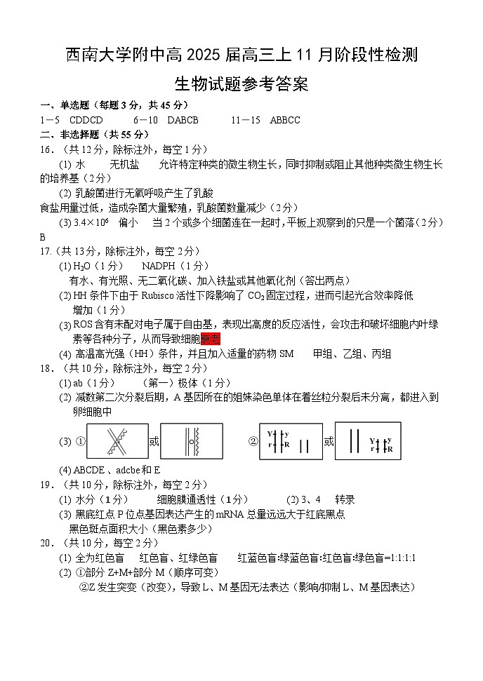 参考答案第1页