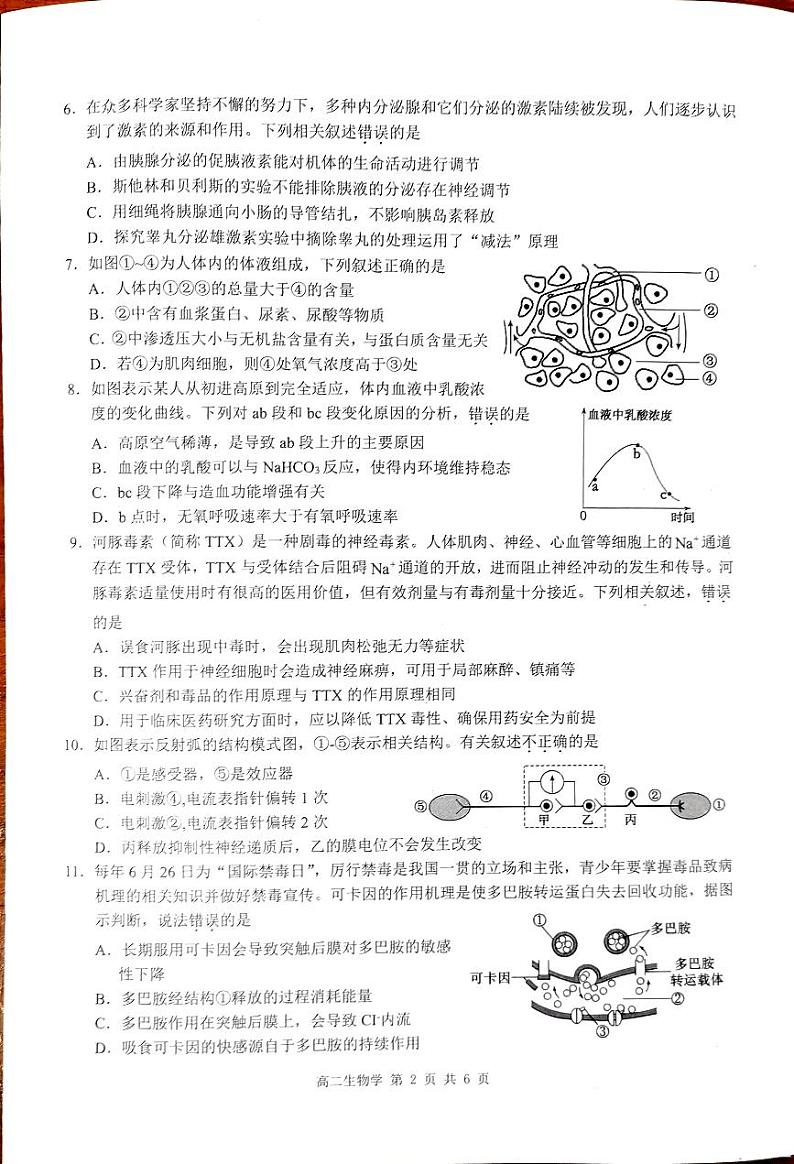 2025壮族自治区河池十校联考高二上学期10月月考生物试题PDF版无答案第2页