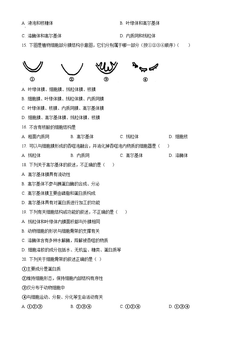 北京市第十九中学2024-2025学年高一上学期11月期中生物试题 Word版无答案第3页