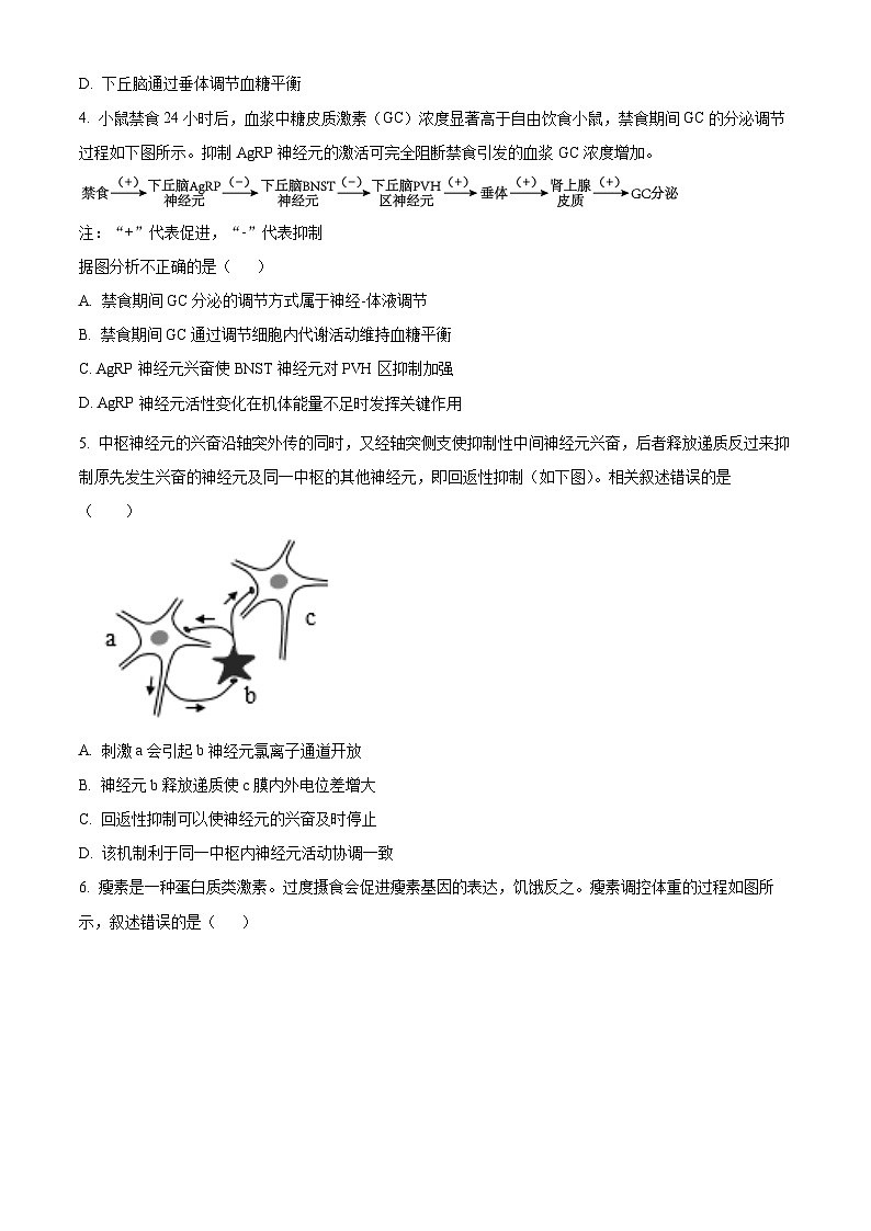 北京市第四十四中学2024-2025学年高二上学期11月期中考试生物试卷(Word版附解析)02