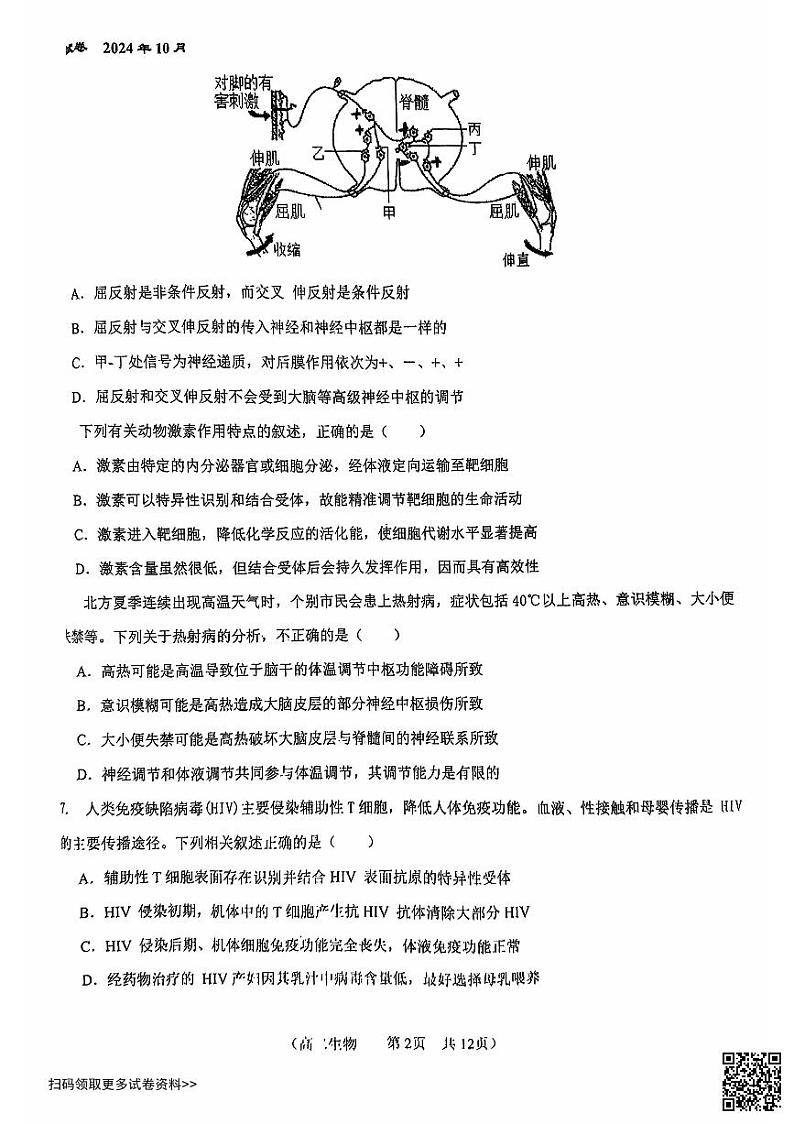 2024北京八十中高二上学期期中生物试卷第2页