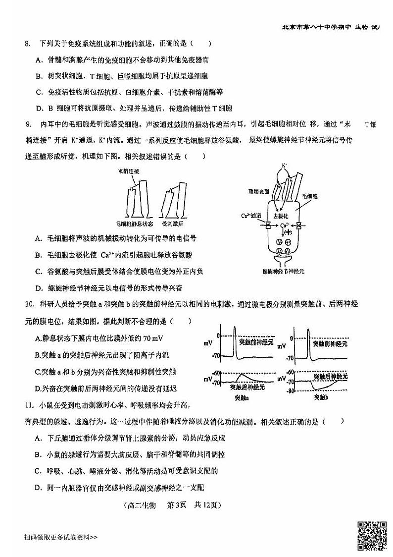 2024北京八十中高二上学期期中生物试卷第3页