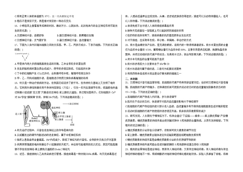 山东省泰安市新泰市弘文中学2024-2025学年高二上学期期中检测生物试题第3页