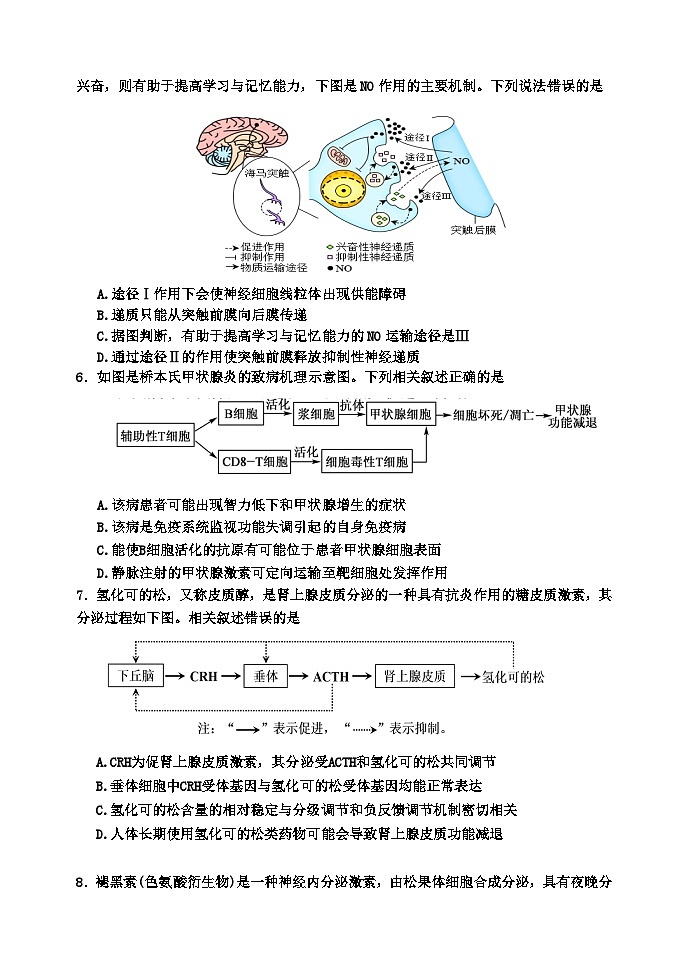 黑龙江省齐齐哈尔市第八中学校2024-2025学年高二上学期期中考试生物试卷第2页