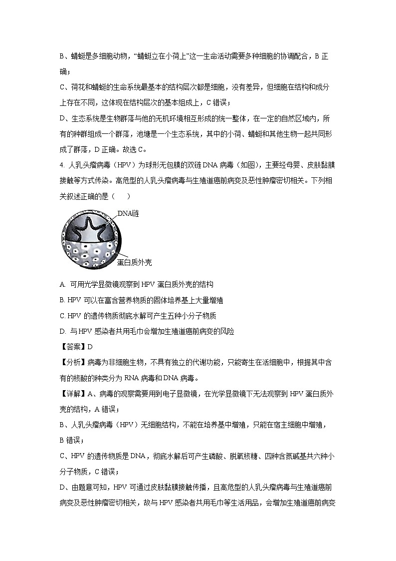 河北省沧州市四县联考2024-2025学年高一上学期10月月考生物试卷(解析版)03