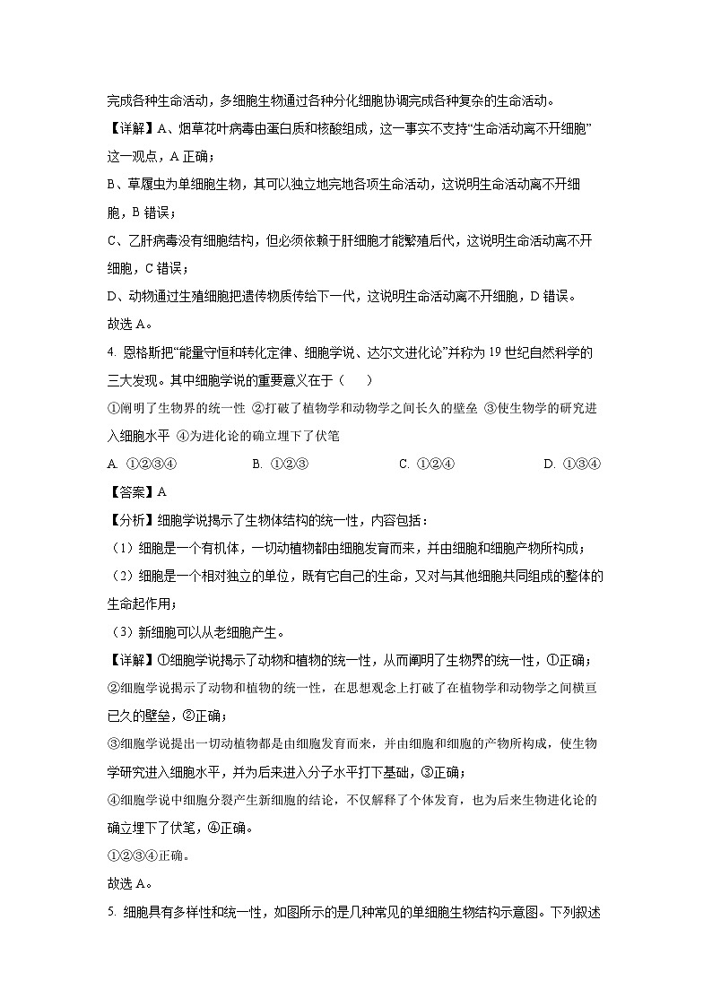贵州省贵阳市乌当区某校2024-2025学年高一上学期10月月考生物试卷(解析版)第3页