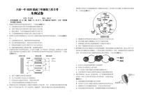 生物-安徽省六安第一中学2025届高三上学期第三次（11月）月考试题和答案