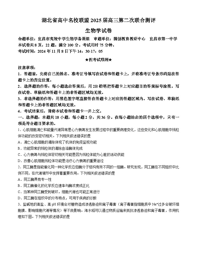 湖北省高中名校联盟2024-2025学年高三上学期第二次联合测评生物试卷第1页