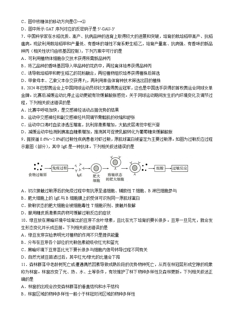 湖北省高中名校联盟2024-2025学年高三上学期第二次联合测评生物试卷第3页