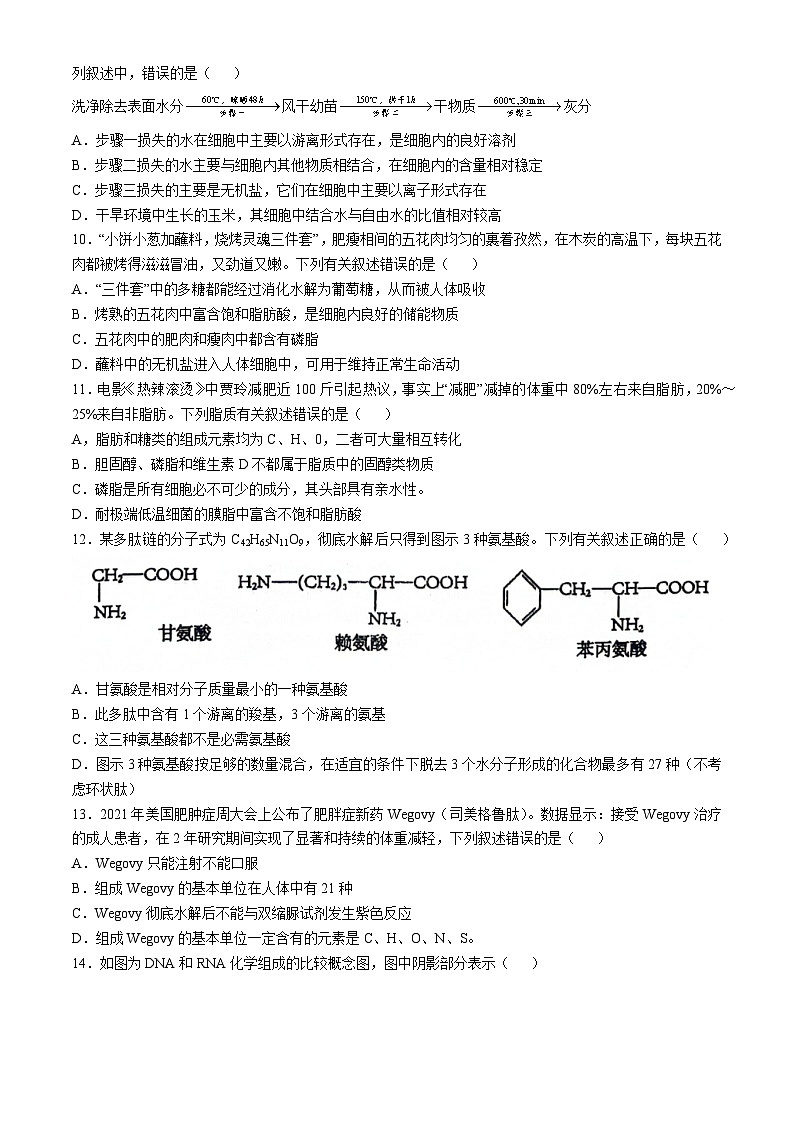 湖南省湘西土家族苗族自治州吉首市第一中学2024-2025学年高一上学期11月期中生物试卷(Word版附解析)第3页