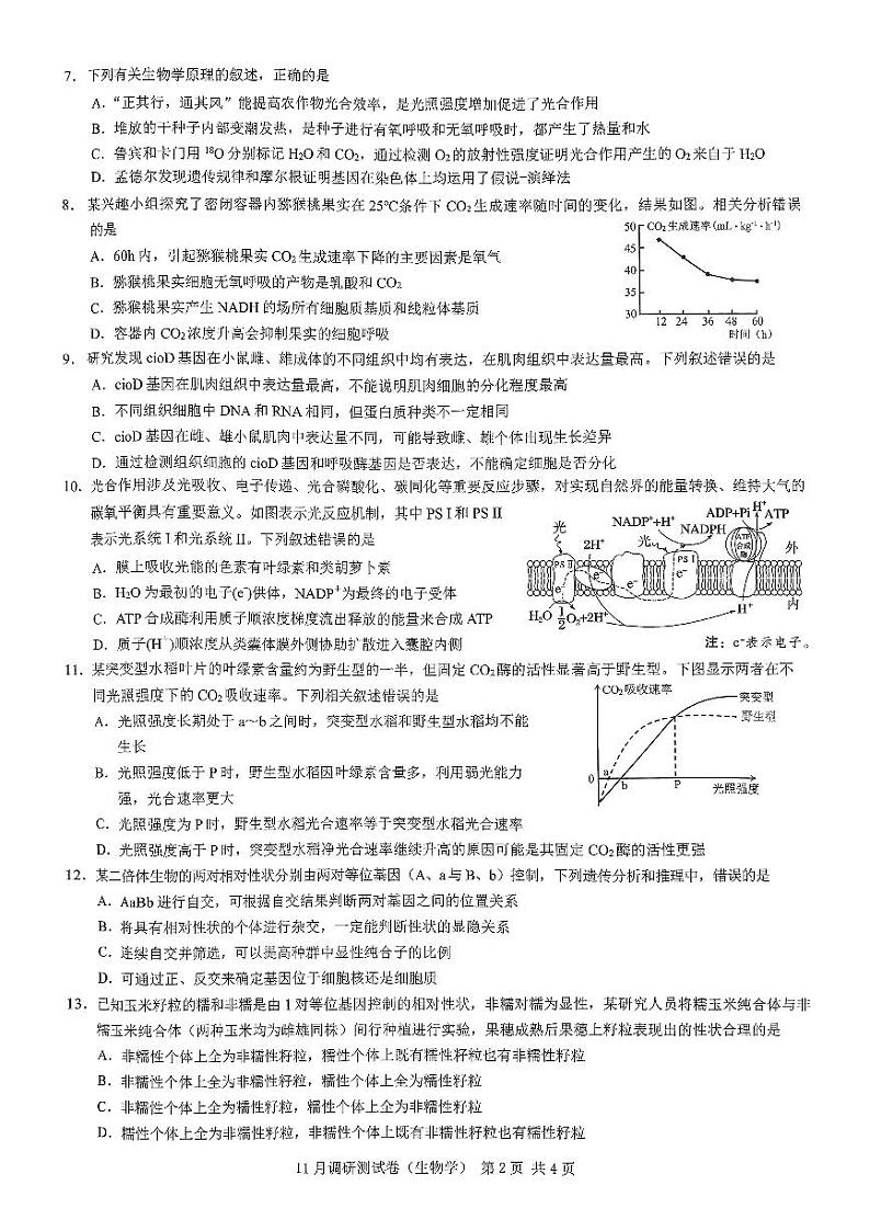 重庆市2024-2025学年高三上学期11月期中考试(康德卷)生物试卷(PDF版附答案)02