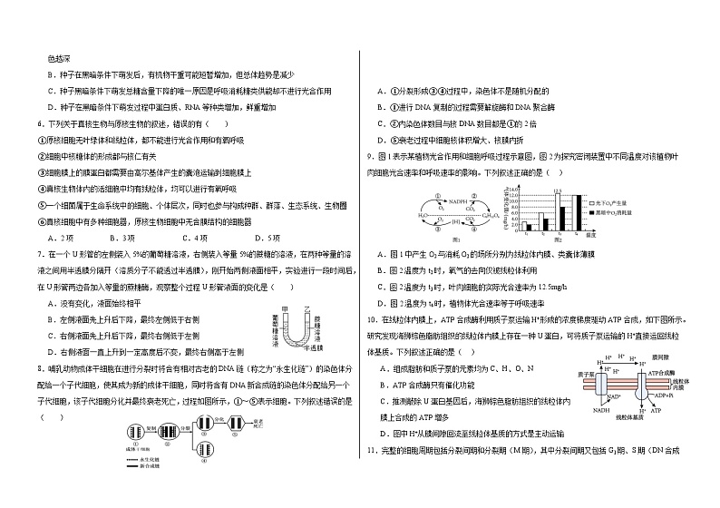 吉林省长春外国语学校2024-2025学年高三上学期10月期中考试生物试卷(Word版附答案)02