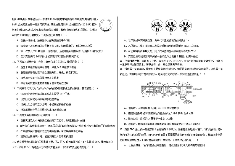 吉林省长春外国语学校2024-2025学年高三上学期10月期中考试生物试卷(Word版附答案)03