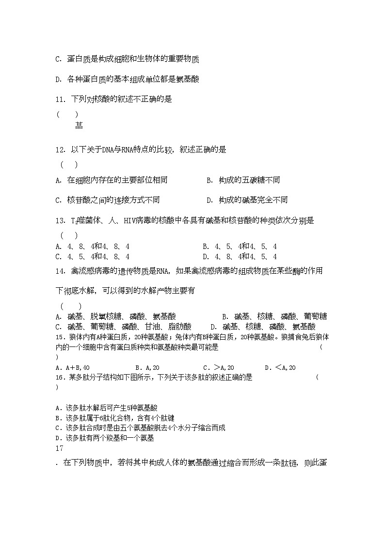 2022年安徽省泗县双语11高一生物上学期期中考试会员独享第3页