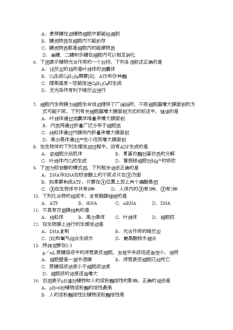 2022年吉林省长春市一三学高三生物上学期期中考试无答案第2页
