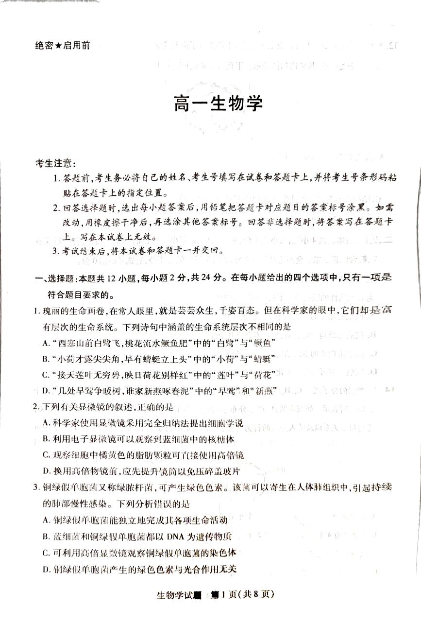 湖南省2024-2025学年高一上学期11月期中生物试题