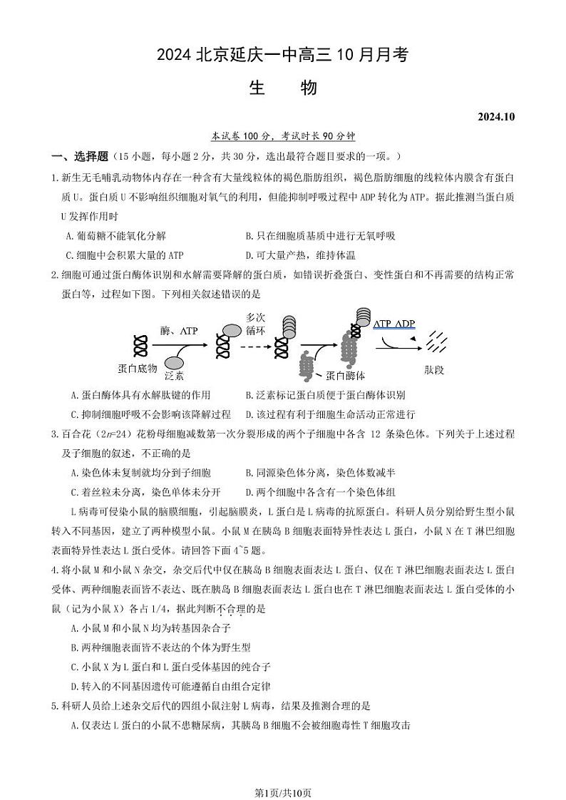 2025北京延庆一中高三上学期10月月考生物试题及答案第1页