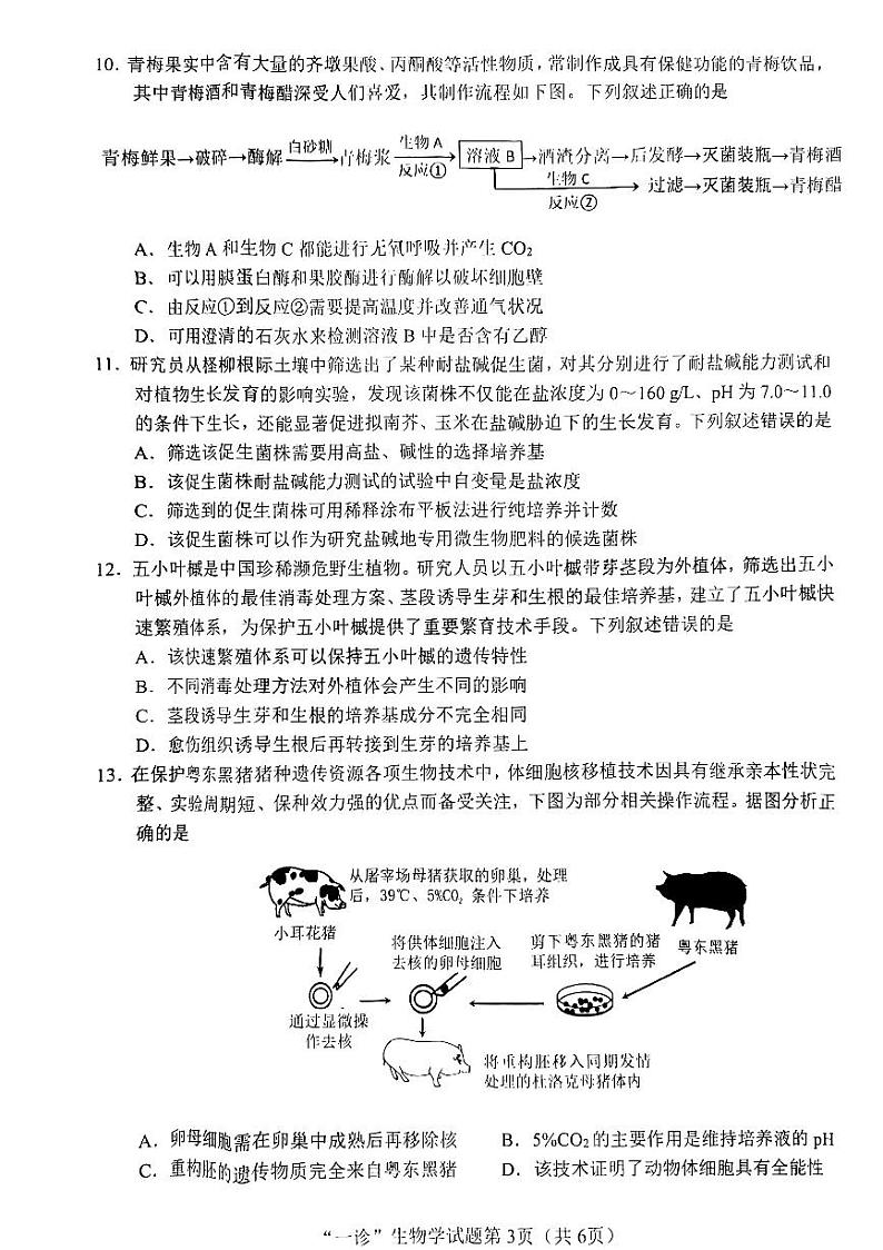 南充市高2025届高考适应性考试(一诊)生物学试题第3页