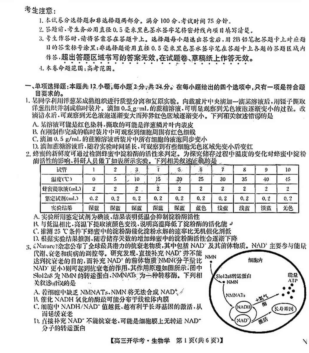 2025九师联盟高三上学期8月开学考生物试题及答案