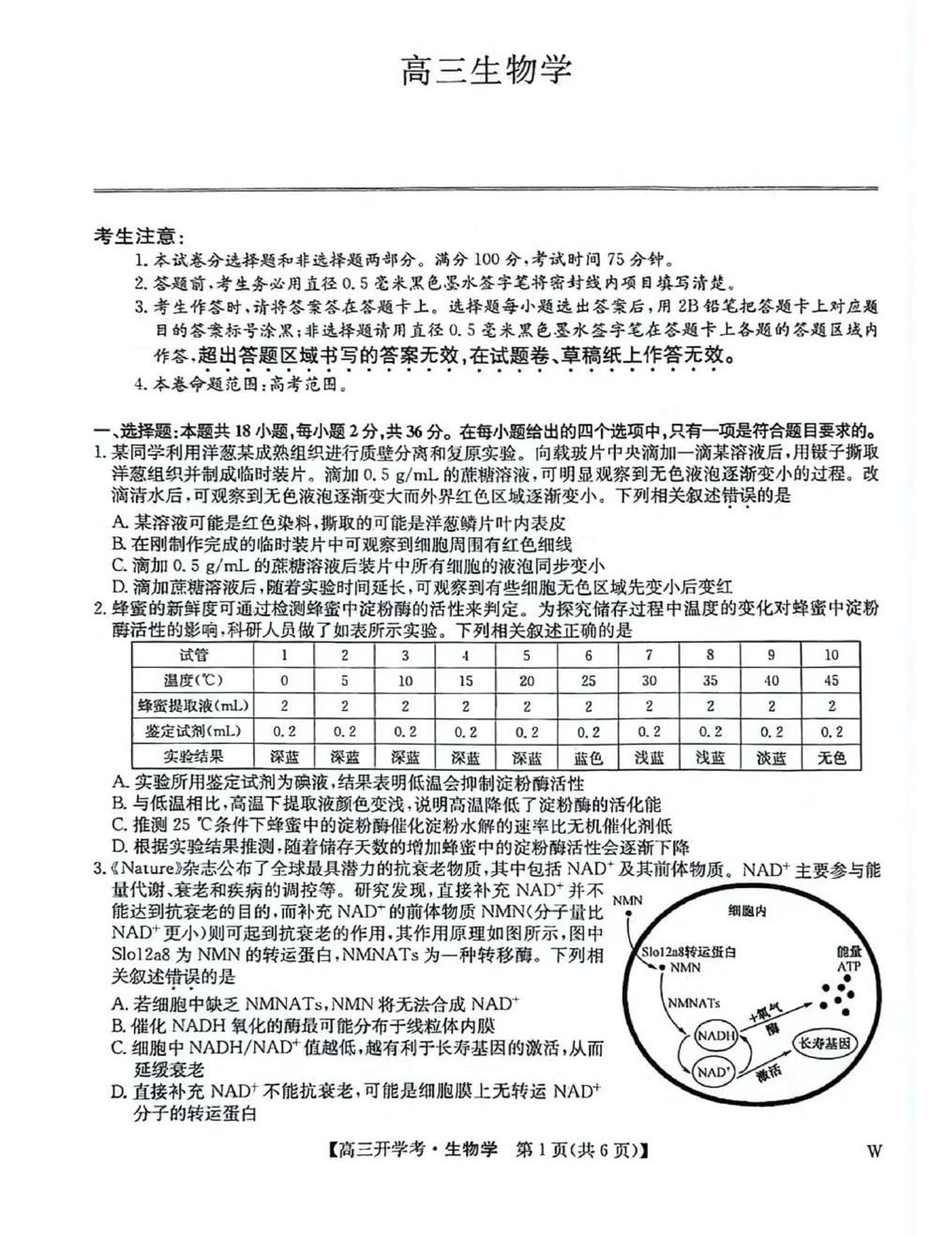 2025九师联盟高三上学期9月开学考生物试题及答案