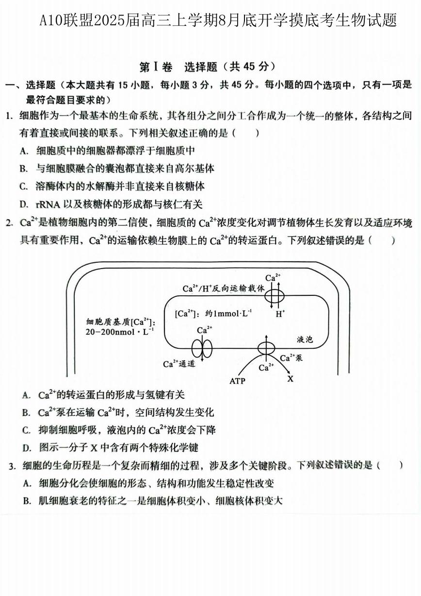 A10联盟2025届高三上学期上学期8月底开学摸底考生物试题