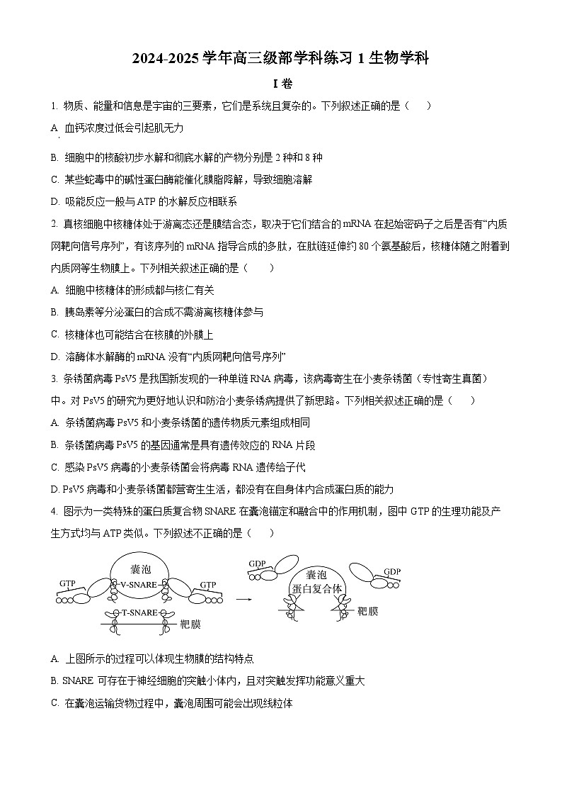 2025天津市新华中学高三上学期10月月考试题生物含答案01