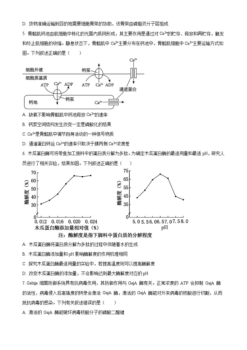 2025天津市新华中学高三上学期10月月考试题生物含答案02