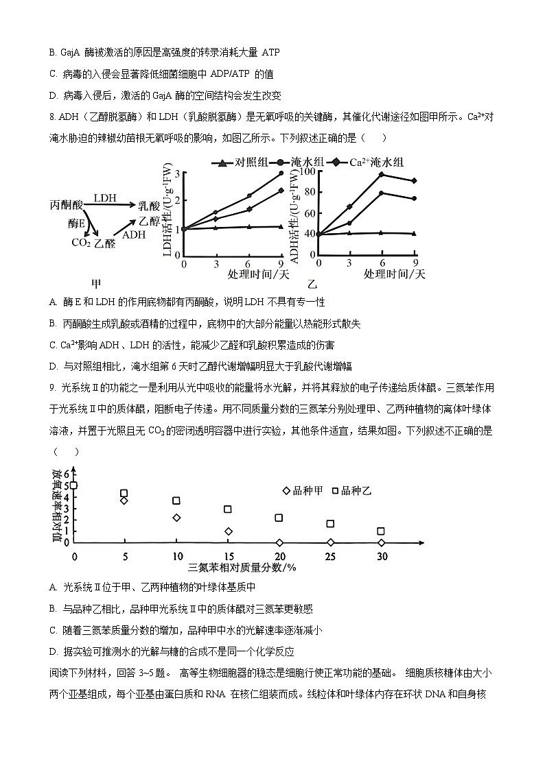 2025天津市新华中学高三上学期10月月考试题生物含答案03