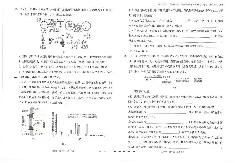 2025云南师大附中高三上学期高考适应性月考卷(五)生物PDF版含解析第3页