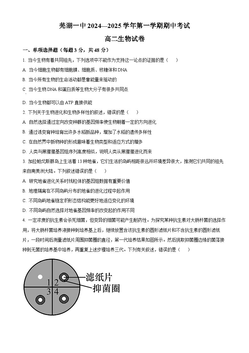 安徽省芜湖市第一中学2024-2025学年高二上学期期中考试生物试题(Word版附解析)01