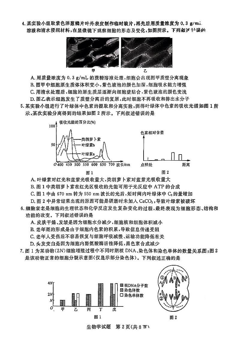 生物第2页