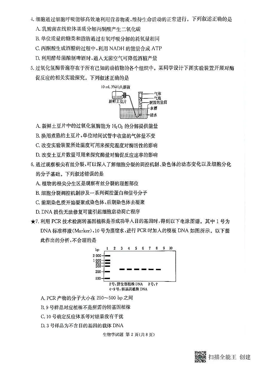 2025届湖南省名校联考联合体高三上学期9月第一次联考(暨入学检测)生物试题第2页