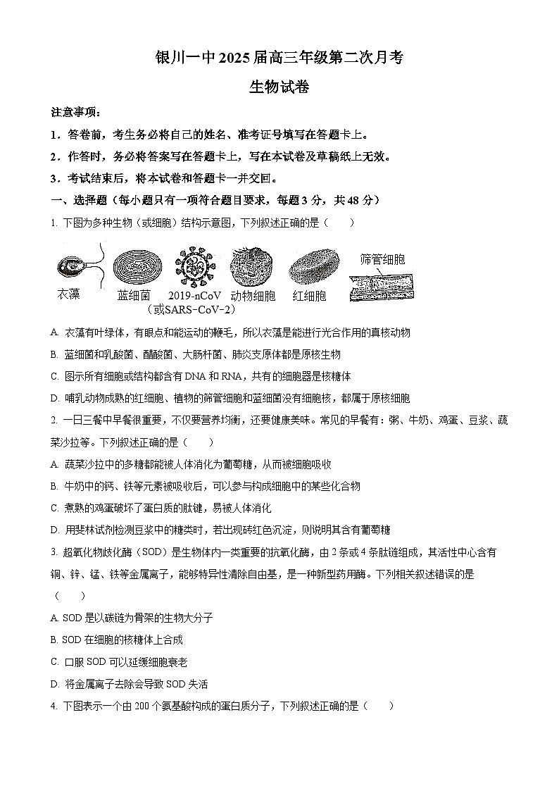 2025届银川一中高三第二次月考+生物第1页