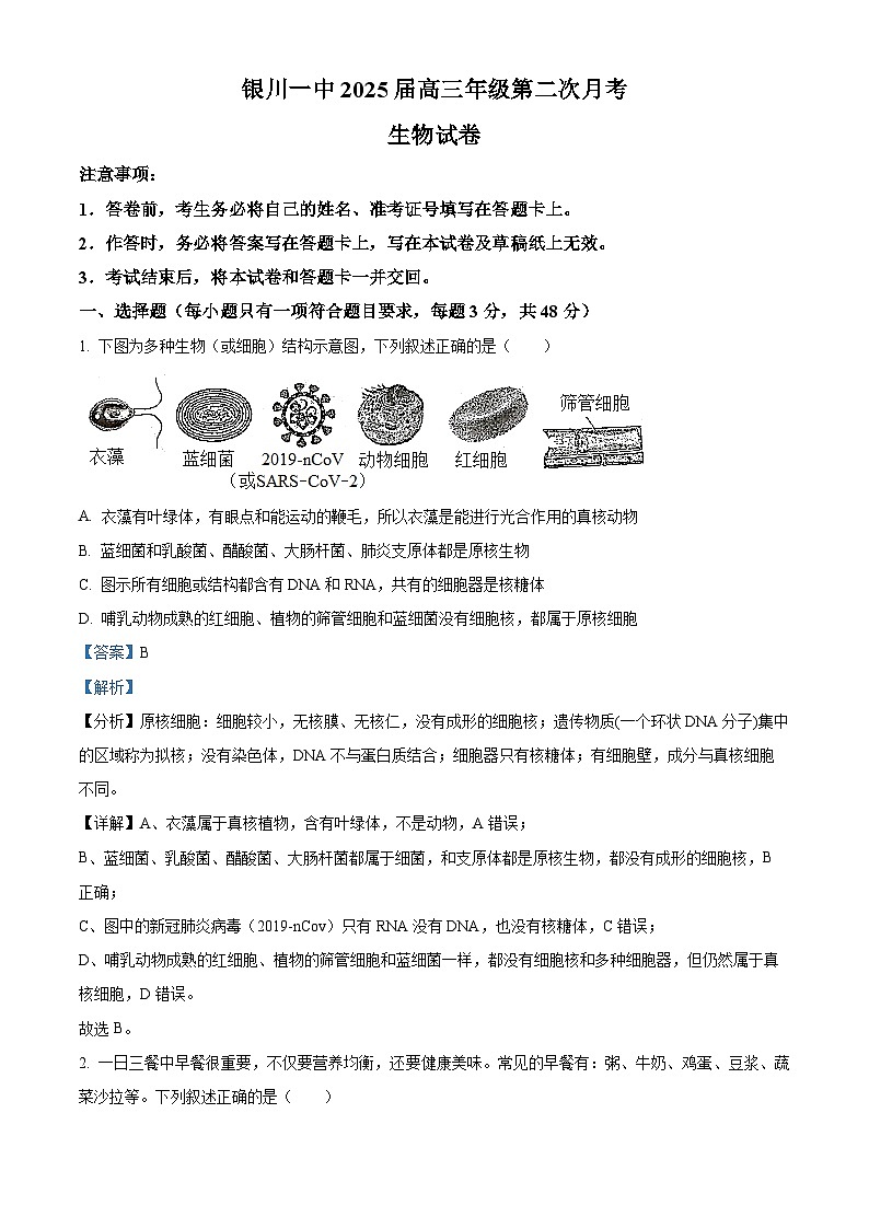2025届银川一中高三第二次月考+生物答案第1页