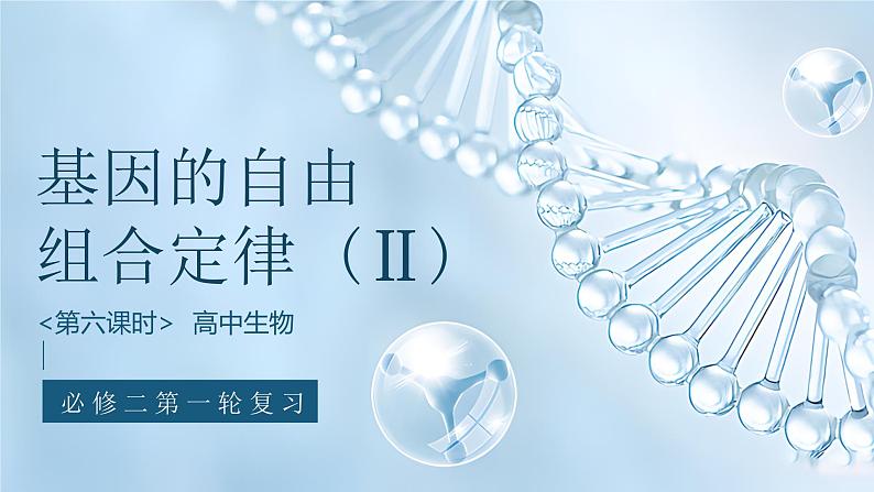《基因的自由组合定律(Ⅱ)》(课件版权归属“一起课件”,只供个人使用,请勿私自传播,违者必究)第1页