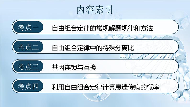 《基因的自由组合定律(Ⅱ)》(课件版权归属“一起课件”,只供个人使用,请勿私自传播,违者必究)第3页